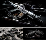 Armas e Munição no Centro de Goiânia