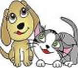 Criadores de Animais no Centro de Goiânia