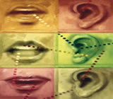 Fonoaudiologia no Centro de Goiânia