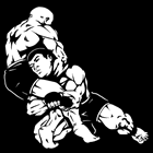 Jiu Jitsu no Centro de Goiânia