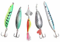 Lojas de Pesca no Centro de Goiânia