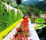 Paisagismo no Centro de Goiânia