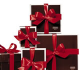 Presentes no Centro de Goiânia